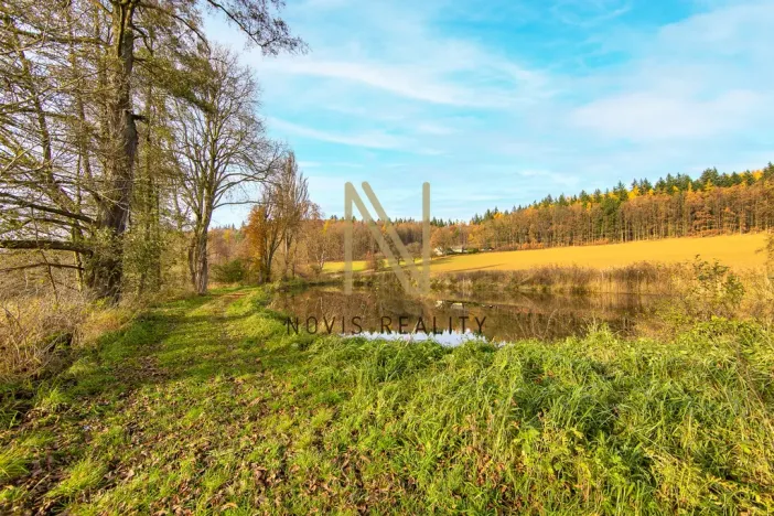 Prodej rybníku, Týnec, 2713 m2