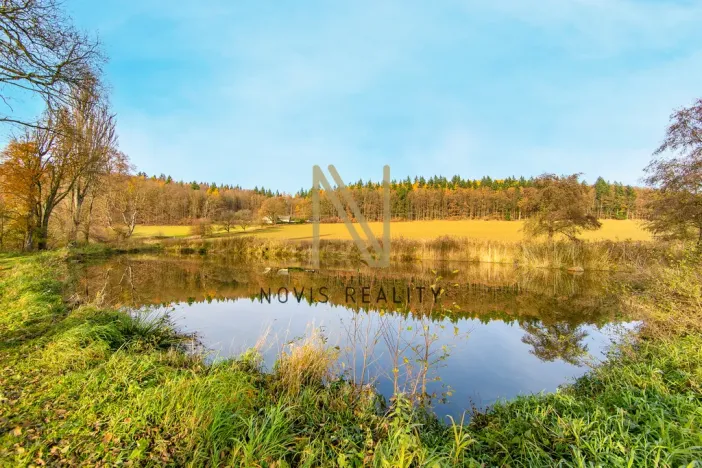 Prodej rybníku, Týnec, 2713 m2