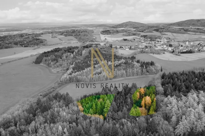 Prodej lesa, Chudenice, 7475 m2