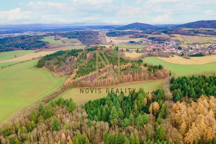 Prodej lesa, Chudenice, 7475 m2