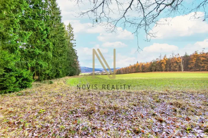 Prodej lesa, Chudenice, 7475 m2