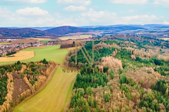 Prodej lesa, Chudenice, 7475 m2