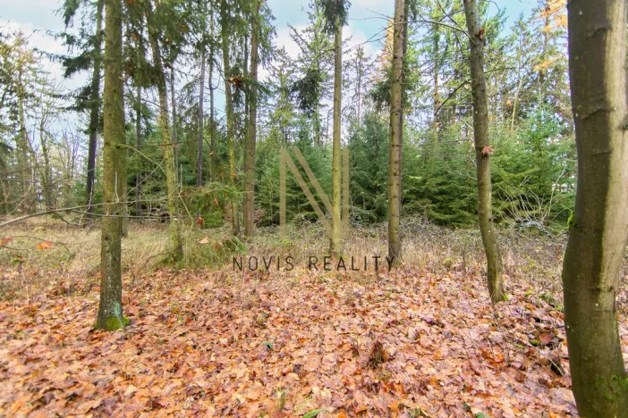 Prodej lesa, Chudenice, 7475 m2