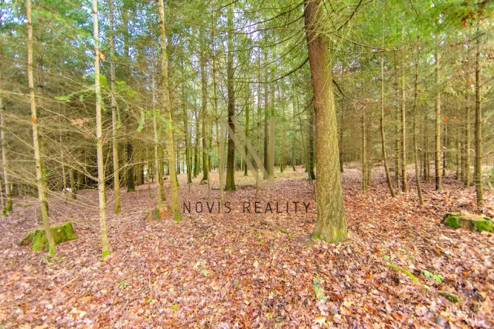 Prodej lesa, Chudenice, 7475 m2