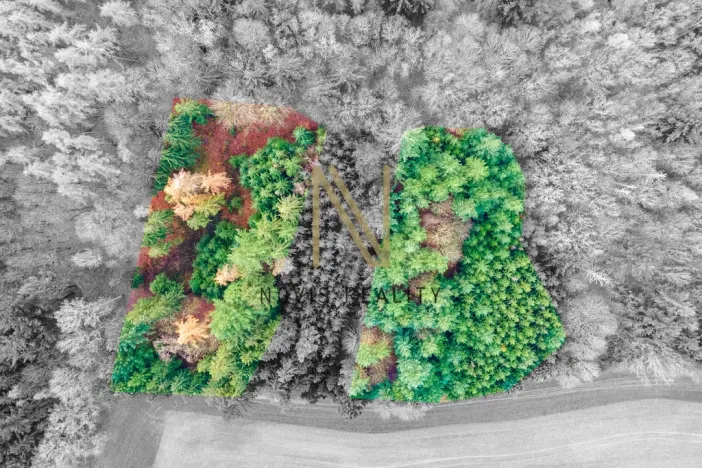 Prodej lesa, Chudenice, 7475 m2