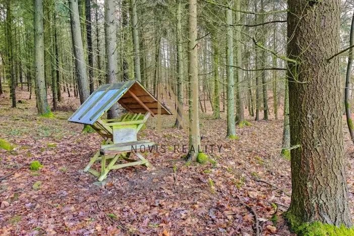Prodej lesa, Chudenice, 7475 m2