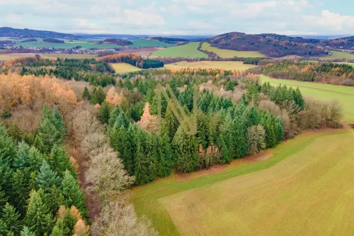 Prodej lesa, Chudenice, 7475 m2