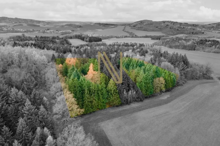 Prodej lesa, Chudenice, 7475 m2