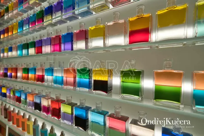 Prodej ordinace, Praha - Vinohrady, Soběslavská, 26 m2