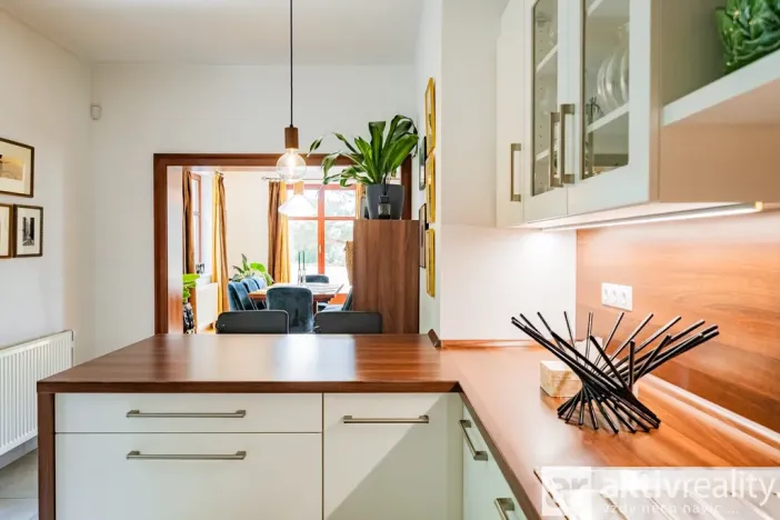 Pronájem bytu 4+kk, Praha - Vinohrady, Perucká, 180 m2