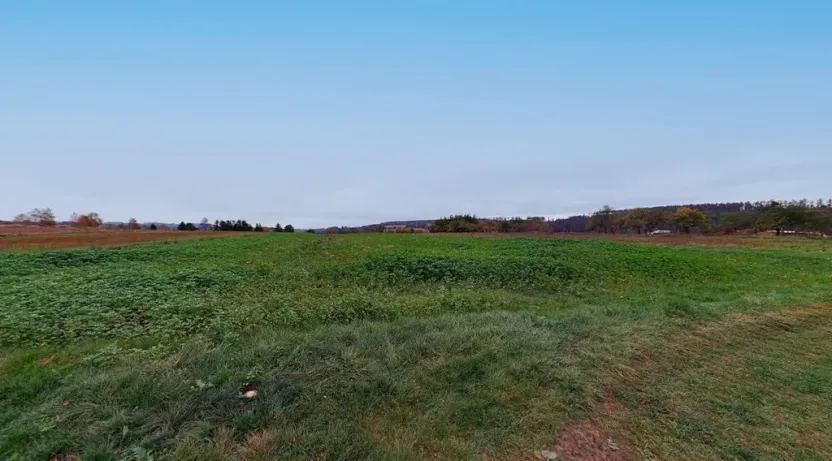 Prodej pozemku pro bydlení, Zruč nad Sázavou, 3495 m2