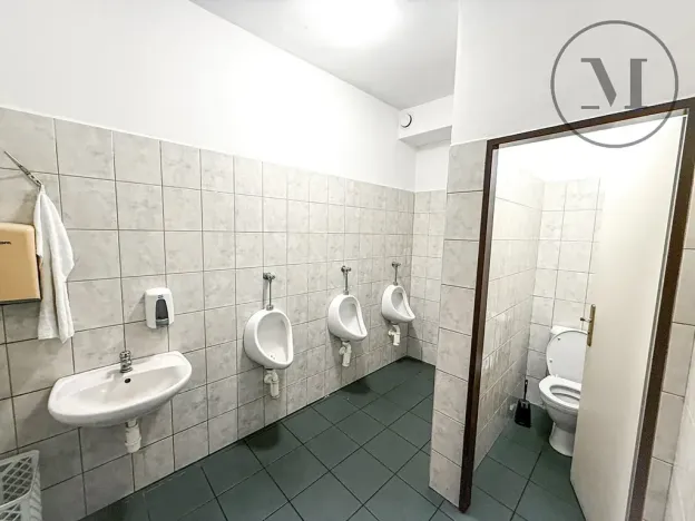 Pronájem výrobních prostor, Lišov, Miletínská, 1000 m2