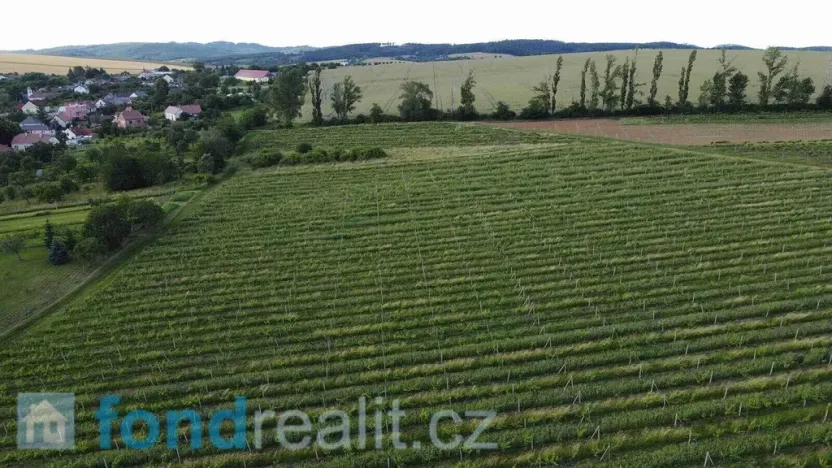 Prodej pozemku, Újezdec, 7374 m2