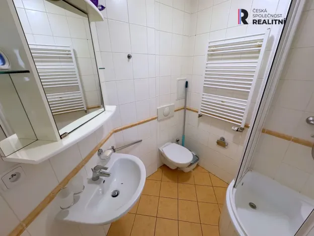 Pronájem bytu 1+1, Karlovy Vary, Ondřejská, 35 m2