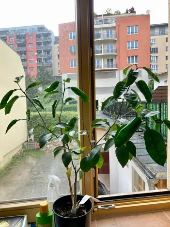 Pronájem bytu 1+kk, Praha - Košíře, Vrchlického, 25 m2