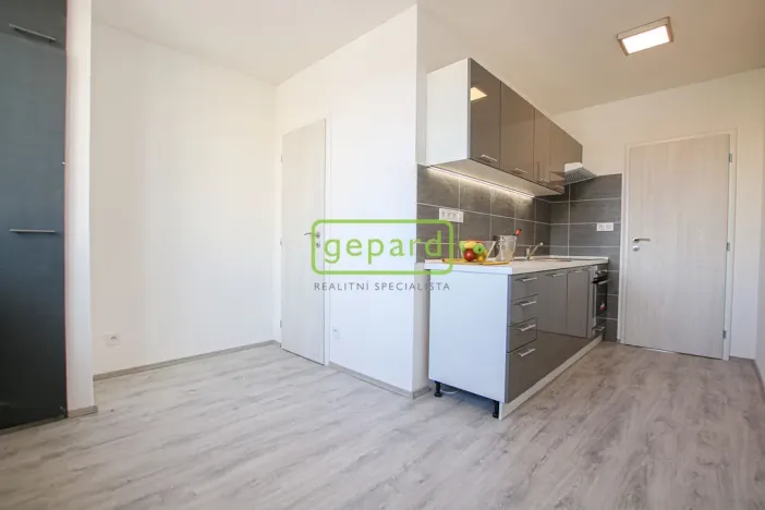 Pronájem bytu 1+1, Brno, Palackého třída, 39 m2