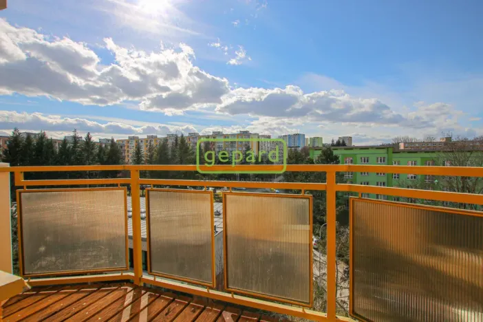 Pronájem bytu 1+1, Brno, Palackého třída, 39 m2