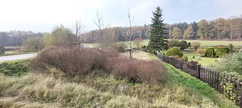 Prodej pozemku, Lázně Bělohrad, 1005 m2