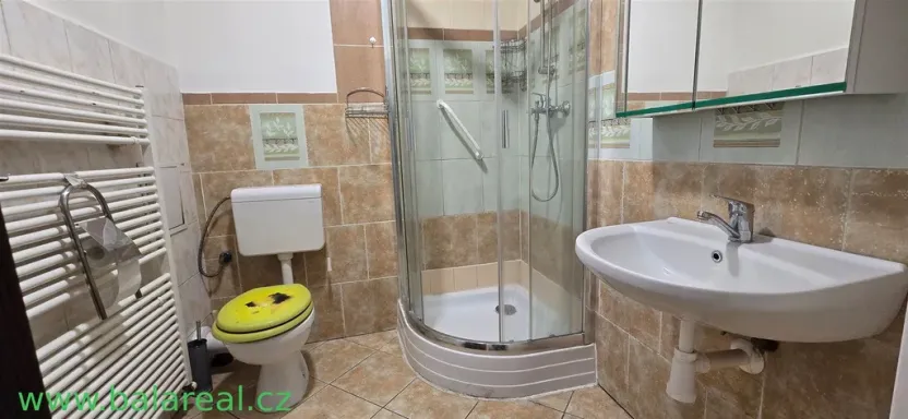 Pronájem bytu 1+1, Brno, Dukelská třída, 37 m2