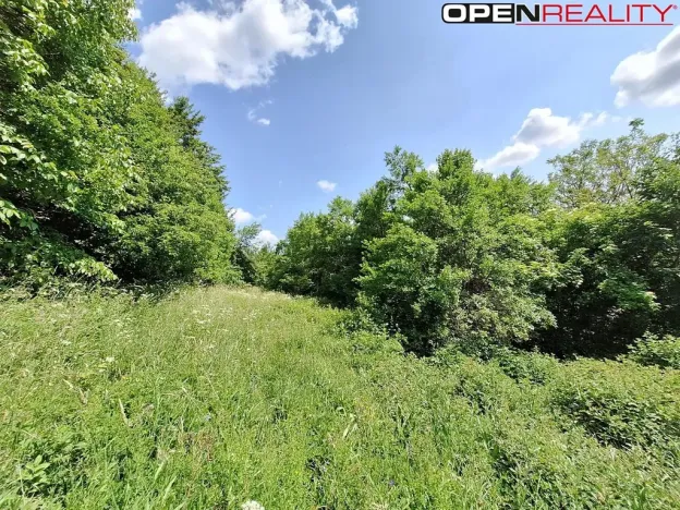 Prodej rodinného domu, Žítková, 80 m2