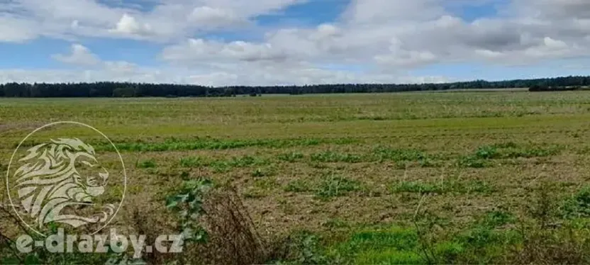 Dražba sadu/vinice, Lišany, 24161 m2