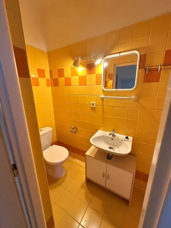 Pronájem bytu 2+1, Děčín, El. Krásnohorské, 47 m2