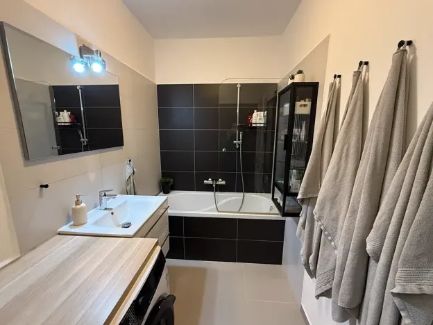 Pronájem bytu 3+kk, Plzeň, U Velkého rybníka, 104 m2