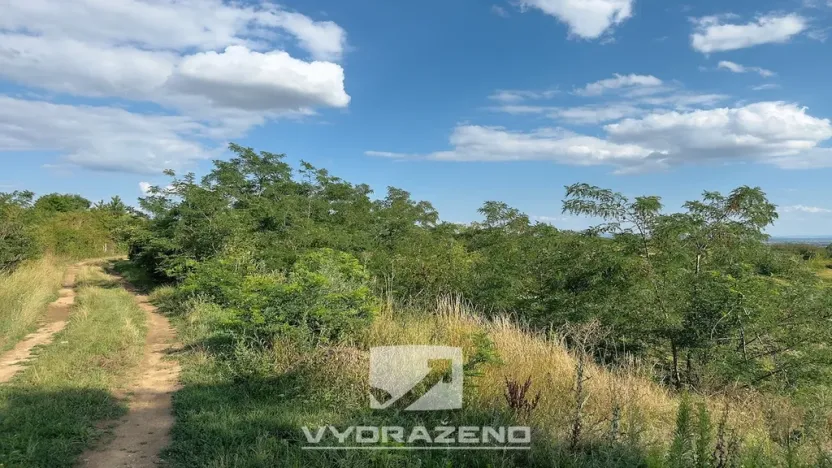 Prodej pozemku pro bydlení, Dolní Kounice, 1582 m2