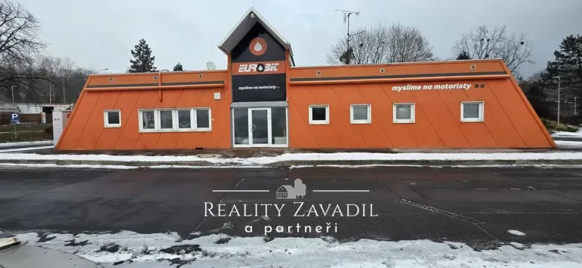 Pronájem obchodního prostoru, Ostrava, Těšínská, 100 m2