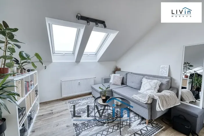 Pronájem bytu 1+kk, Olomouc, tř. Svornosti, 45 m2