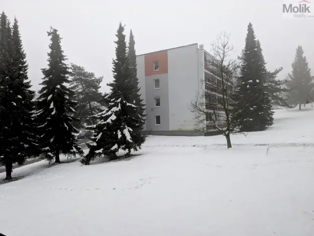 Pronájem bytu 1+kk, Bílina - Pražské Předměstí, Aléská, 28 m2