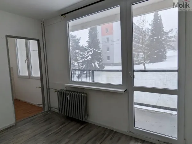 Pronájem bytu 1+kk, Bílina - Pražské Předměstí, Aléská, 28 m2