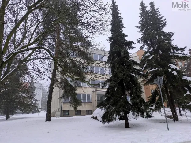 Pronájem bytu 1+kk, Bílina - Pražské Předměstí, Aléská, 28 m2