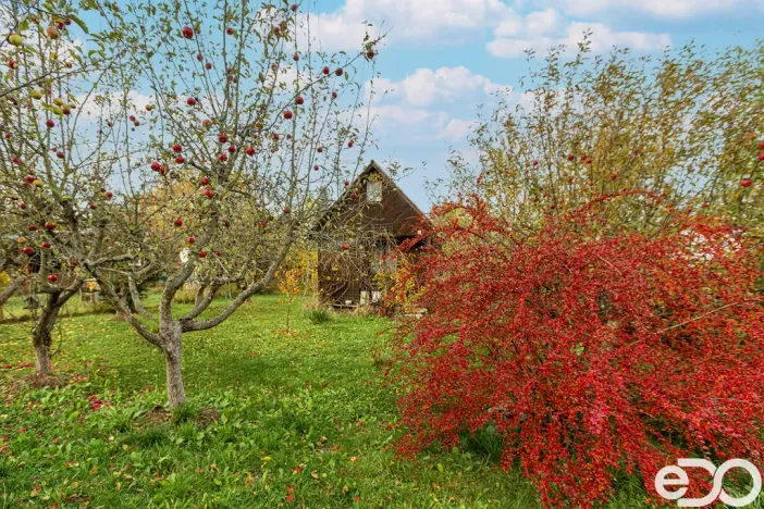 Prodej chaty, Praha, Slatiny, 15 m2