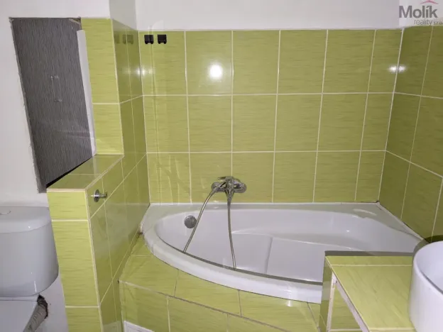 Pronájem bytu 2+1, Bílina - Teplické Předměstí, M. Švabinského, 56 m2