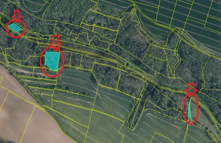 Prodej lesa, Mělnické Vtelno, 4059 m2