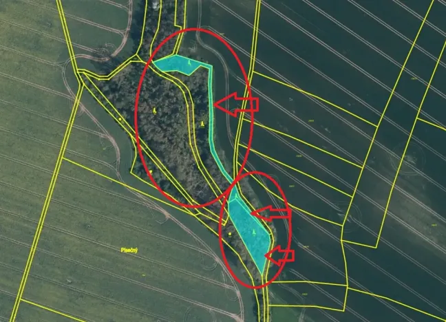 Prodej lesa, Mělnické Vtelno, 2736 m2