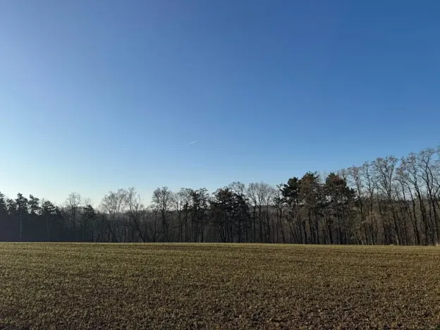 Prodej lesa, Mělnické Vtelno, 2736 m2