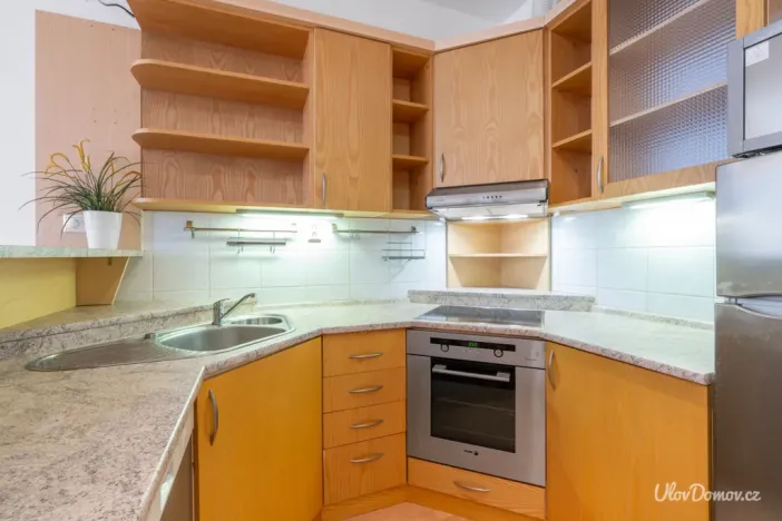 Prodej bytu 2+kk, Praha - Žižkov, Lukášova, 51 m2