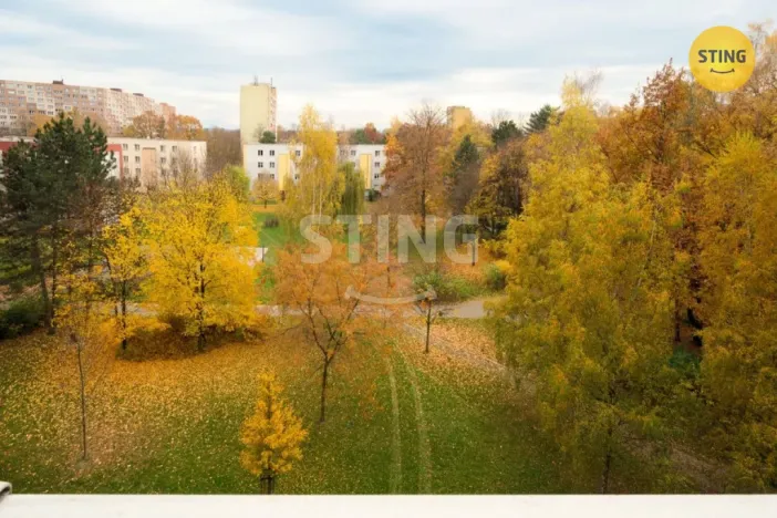 Prodej bytu 1+1, Ostrava, Josefa Kotase, 34 m2