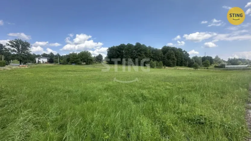 Prodej pozemku pro bydlení, Albrechtice, 4278 m2