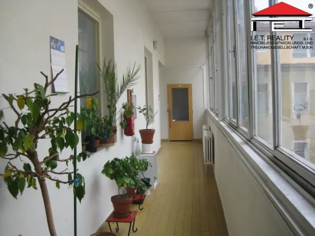 Pronájem kanceláře, Brno, Veveří, 39 m2