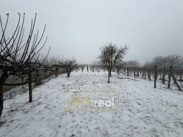 Prodej pozemku, Valtice - Úvaly, 1266 m2