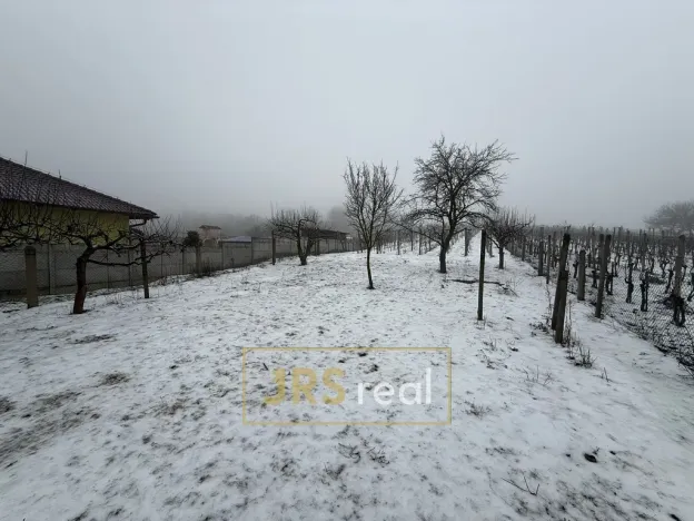 Prodej pozemku, Valtice - Úvaly, 1266 m2