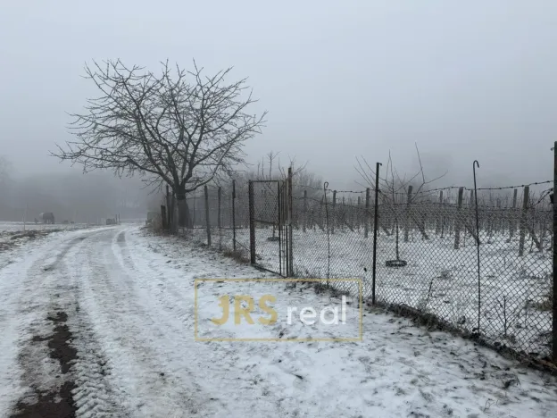 Prodej pozemku, Valtice - Úvaly, 1266 m2