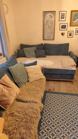 Pronájem bytu 1+1, Březová nad Svitavou, 50 m2