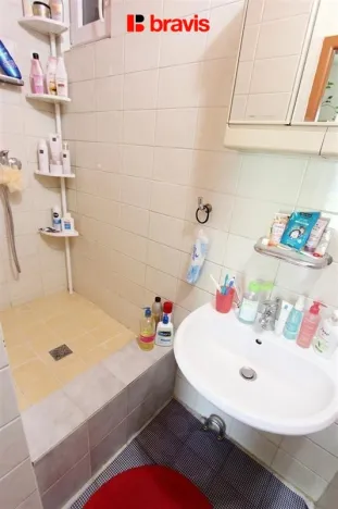 Pronájem bytu 1+1, Brno, Žižkova, 53 m2