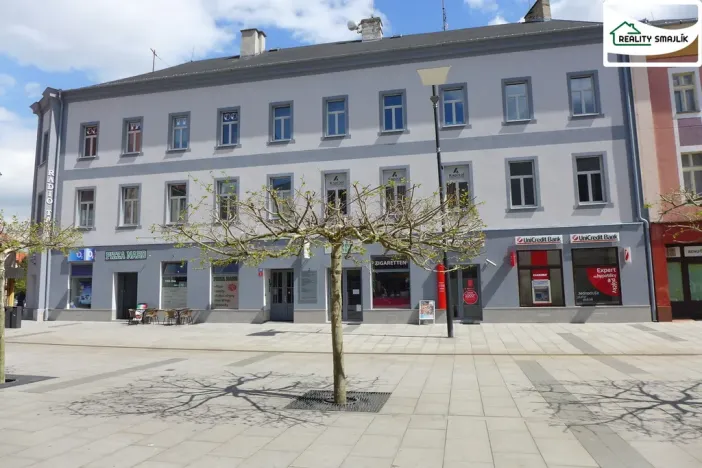 Pronájem skladu, Cheb, Svobody, 12 m2