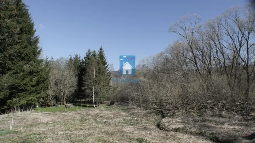 Prodej pozemku pro bydlení, Horní Vltavice, 4794 m2