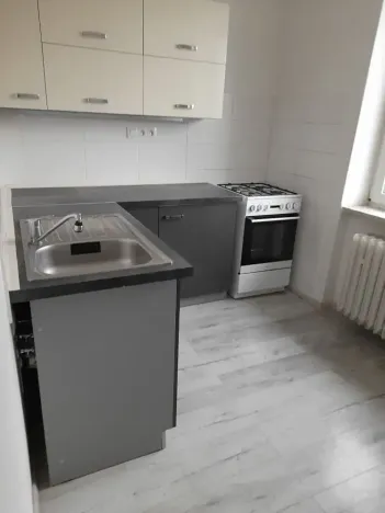 Pronájem bytu 2+1, Karlovy Vary, Sokolovská, 56 m2